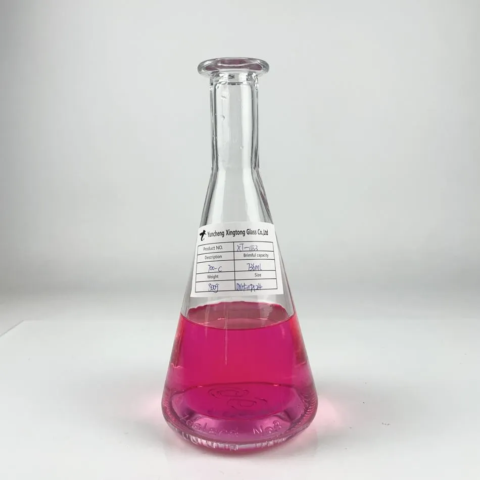 Erlenmeyer Glazen Fles Met Kurk